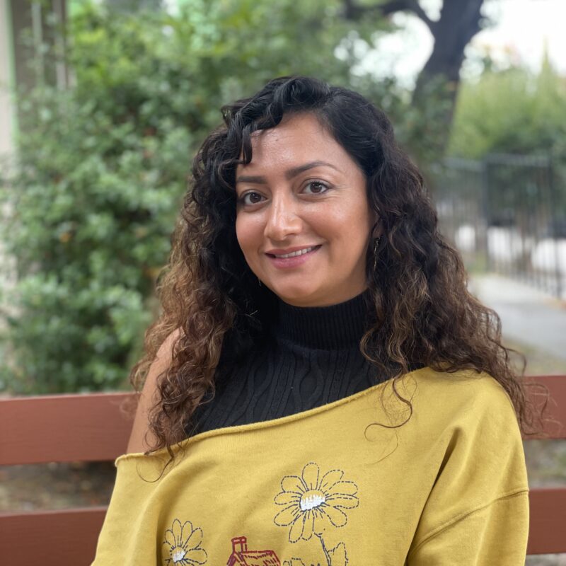 Alaa Safia