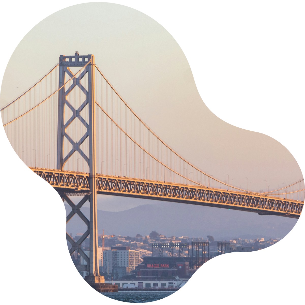 The Bay Bridge framed by an organic blob shape